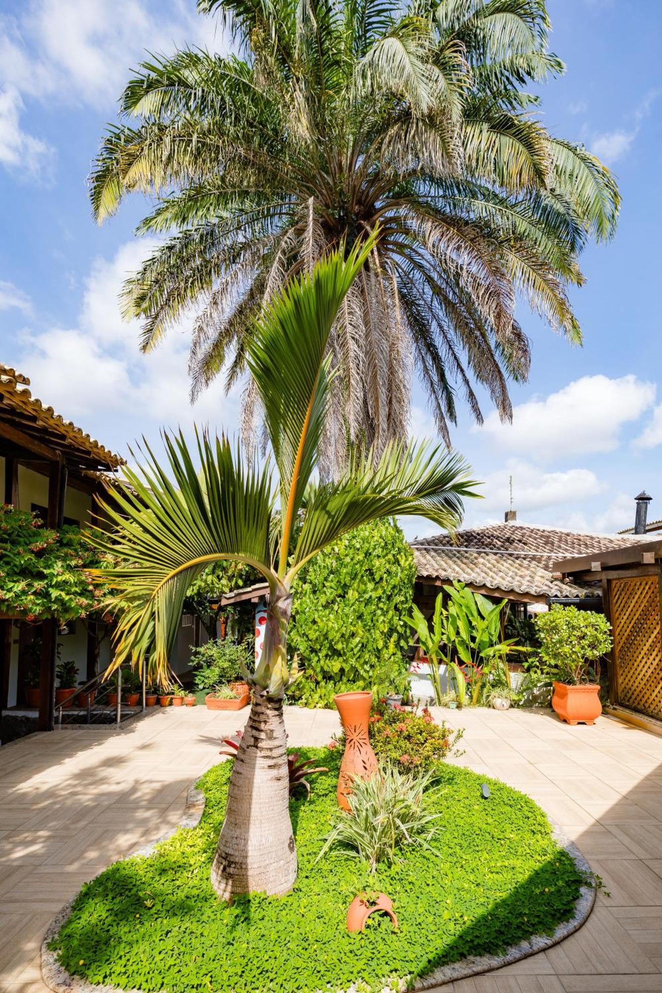 Casa Blanca Hotel 3*